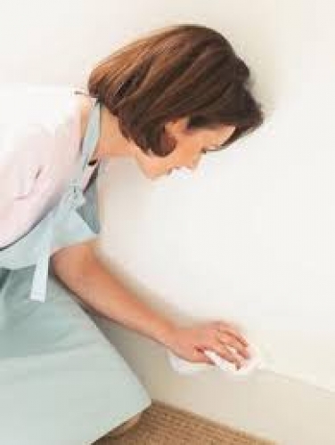 Tư vấn sửa chữa giấy dán tường Tư vấn sửa chữa giấy dán tường