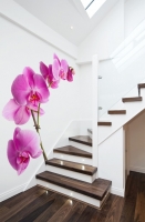 Cầu thang lộng lẫy nhờ giấy dán tường Cầu thang lộng lẫy nhờ giấy dán tường
