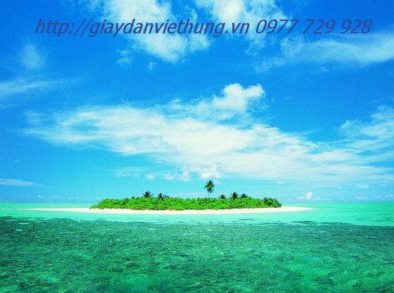 Cảnh biển DCB029 Cảnh biển DCB029