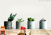 Giấy dán tường Feliz - 56059-3 Giấy dán tường Feliz - 56059-3