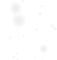 Giấy dán tường gstone - 9022-1 Giấy dán tường gstone - 9022-1