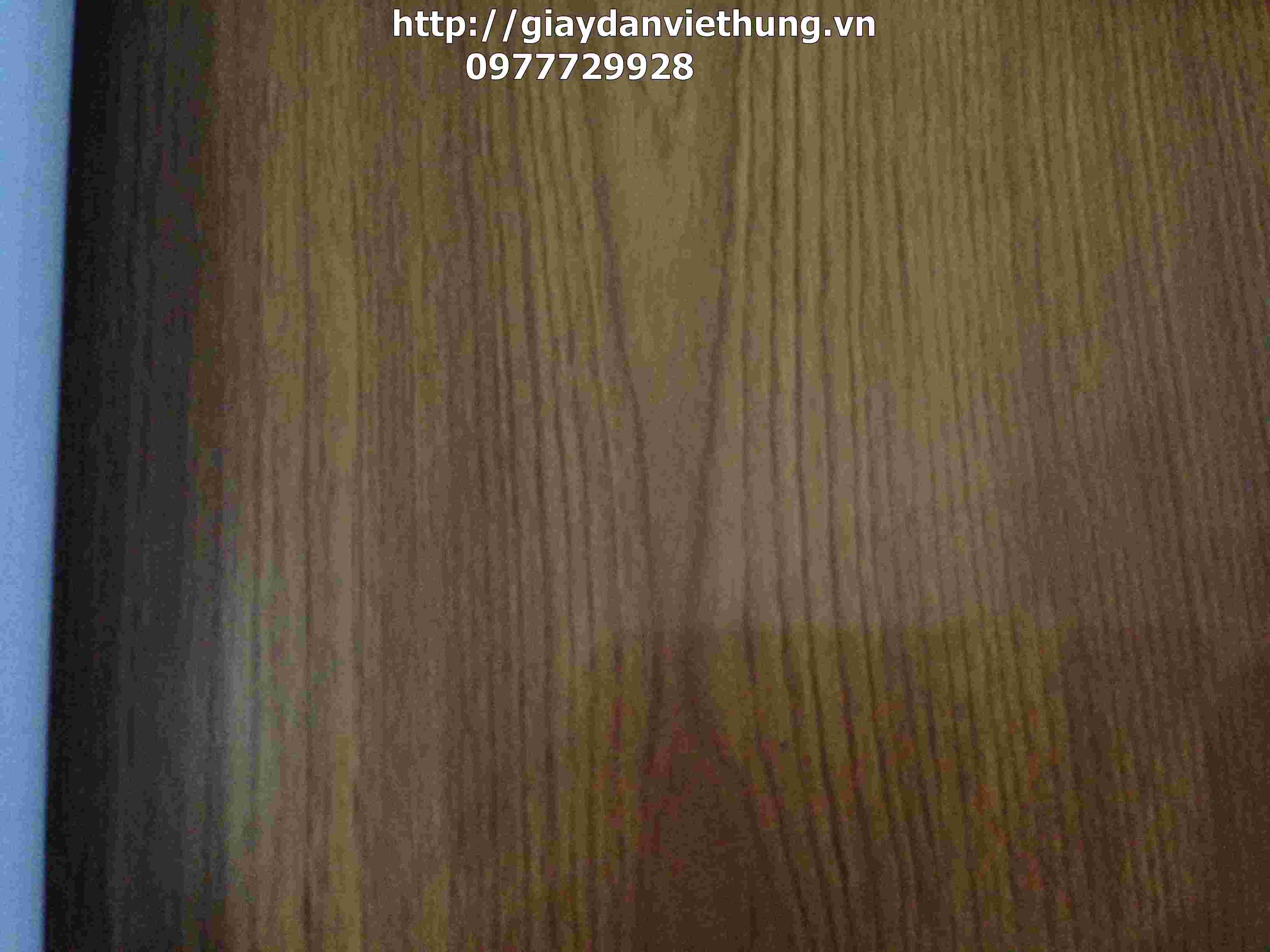 Giấy Decal dán tường A231 Giấy Decal dán tường A231