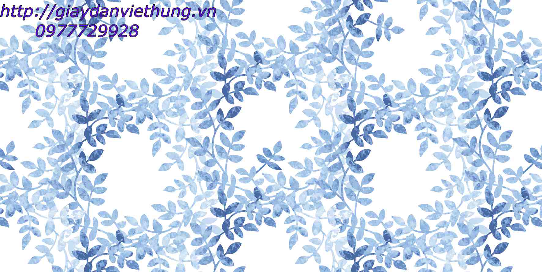 Giấy VIVID 71005-2 Giấy VIVID 71005-2