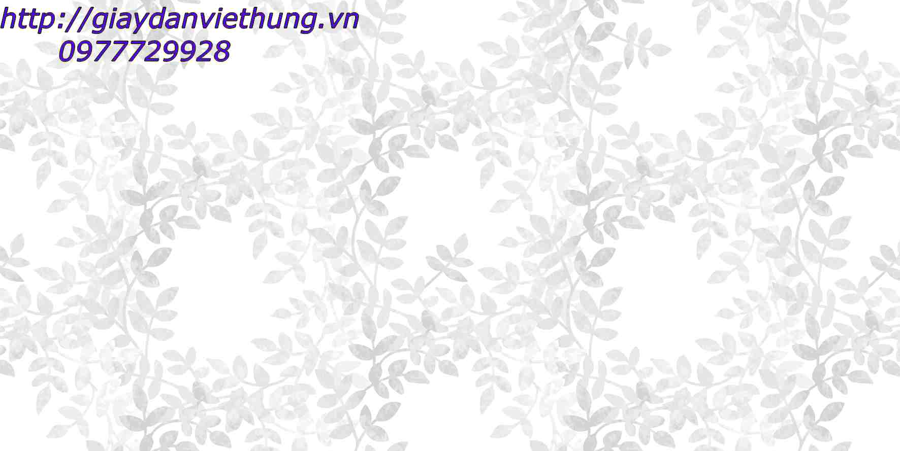 Giấy VIVID 71005-1 Giấy VIVID 71005-1