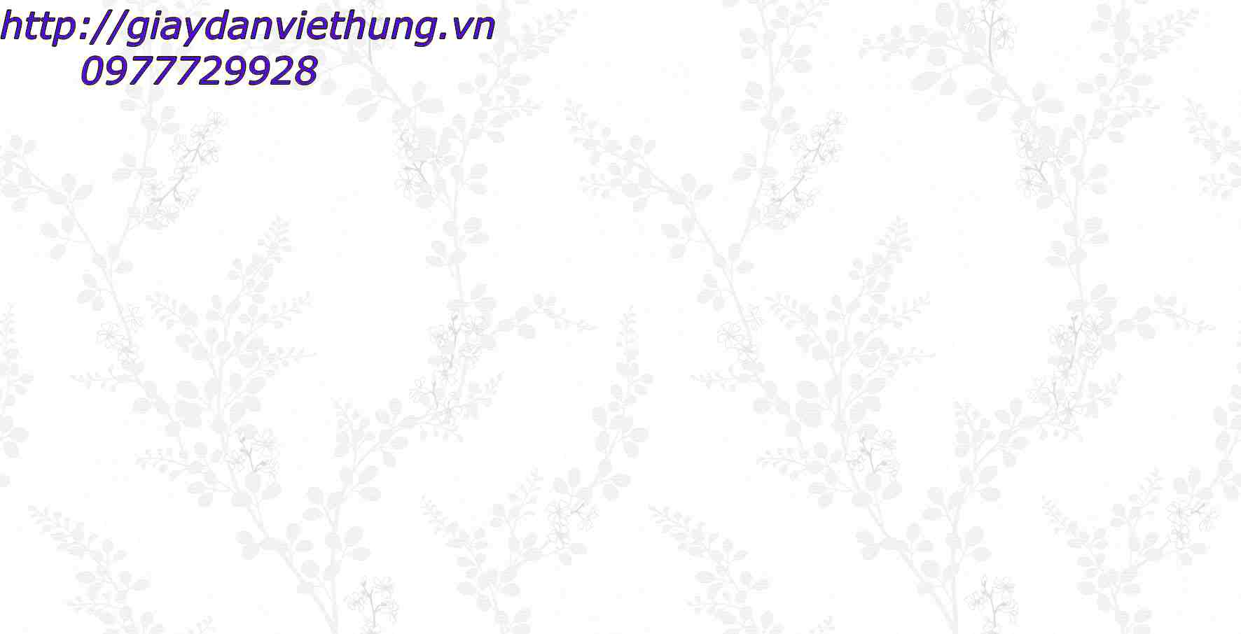 Giấy VIVID 71015-1 Giấy VIVID 71015-1