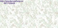 Giấy VIVID - 71028-2 Giấy VIVID - 71028-2