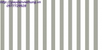 Giấy VIVID - 71032-2 Giấy VIVID - 71032-2