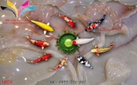 TRANH GIẢ NGỌC NB74 - NB74 TRANH GIẢ NGỌC NB74 - NB74