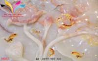 TRANH GIẢ NGỌC NB83 - NB83 TRANH GIẢ NGỌC NB83 - NB83