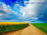 Tranh phong cảnh - DPC009 Tranh phong cảnh - DPC009