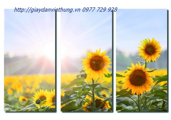 tranh treo tường Ba tấm THL029 tranh treo tường Ba tấm THL029