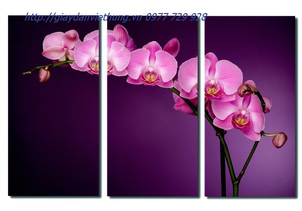 tranh treo tường Ba tấm THL044 tranh treo tường Ba tấm THL044