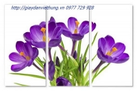 tranh treo tường Ba tấm - THL025 tranh treo tường Ba tấm - THL025