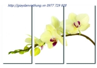 tranh treo tường Ba tấm - THL046 tranh treo tường Ba tấm - THL046