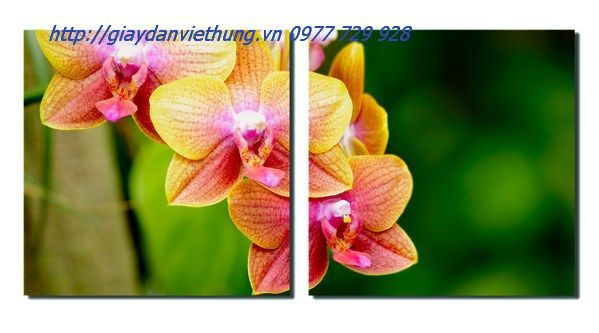 tranh treo tường hai tấm THL045 tranh treo tường hai tấm THL045