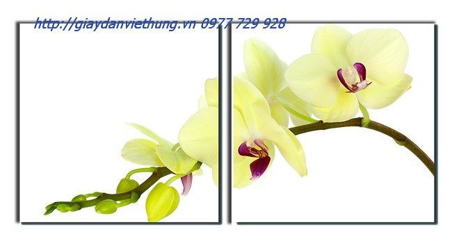 tranh treo tường hai tấm THL046 tranh treo tường hai tấm THL046