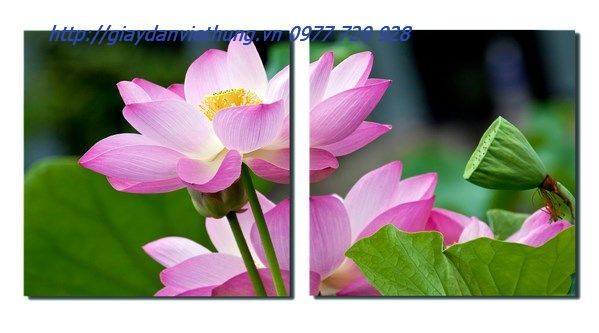 tranh treo tường hai tấm THL051 tranh treo tường hai tấm THL051