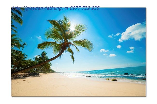 tranh treo tường một tấm TCB018 tranh treo tường một tấm TCB018