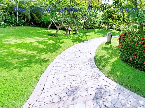 Tranh về công viên DVC005 Tranh về công viên DVC005