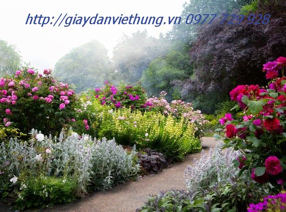 Tranh về công viên DVC004 Tranh về công viên DVC004