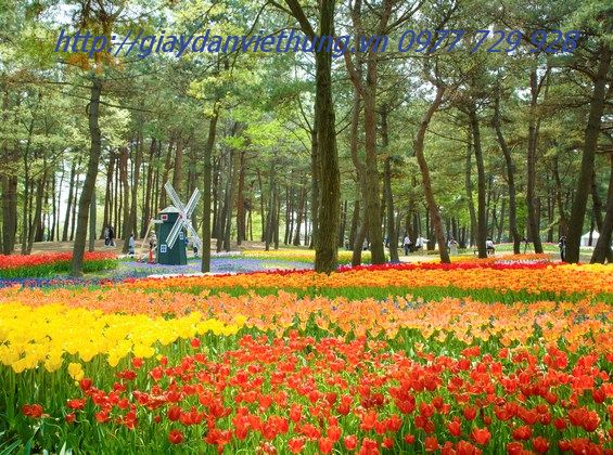 Tranh về công viên DVC024 Tranh về công viên DVC024