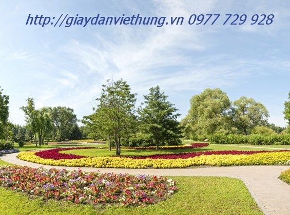 Tranh về công viên DVC019 Tranh về công viên DVC019