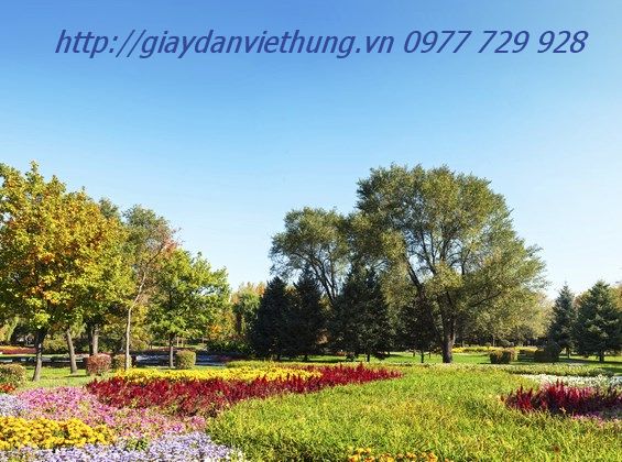 Tranh về công viên DVC022 Tranh về công viên DVC022