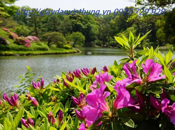 Tranh về công viên DVC010 Tranh về công viên DVC010