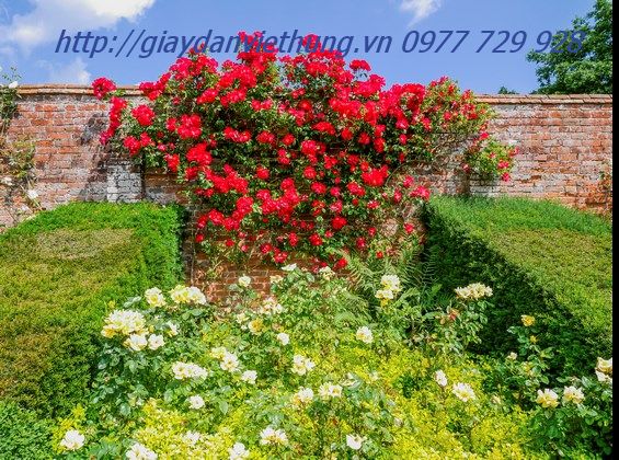 Tranh về công viên DVC033 Tranh về công viên DVC033