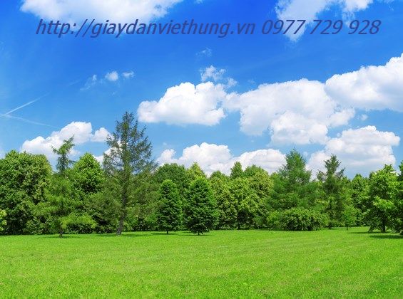 Tranh về công viên DVC027 Tranh về công viên DVC027