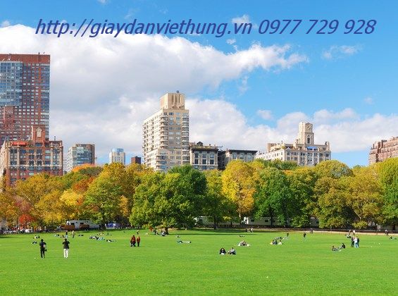 Tranh về công viên DVC042 Tranh về công viên DVC042