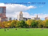 Tranh về công viên - DVC042 Tranh về công viên - DVC042