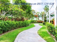 Tranh về công viên - DVC050 Tranh về công viên - DVC050