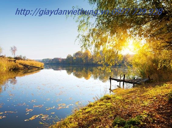 Tranh về công viên DVC028 Tranh về công viên DVC028