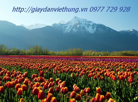 Tranh về công viên DVC031 Tranh về công viên DVC031