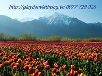 Tranh về công viên - DVC031 Tranh về công viên - DVC031