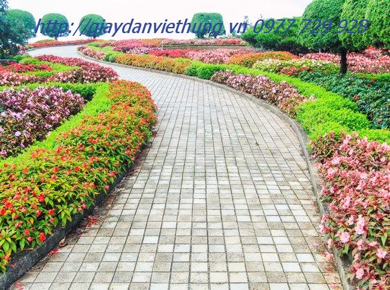 Tranh về công viên DVC049 Tranh về công viên DVC049