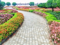 Tranh về công viên - DVC049 Tranh về công viên - DVC049