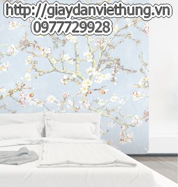 Giấy dán tường Hàn Quốc Feliz Giấy dán tường Hàn Quốc Feliz