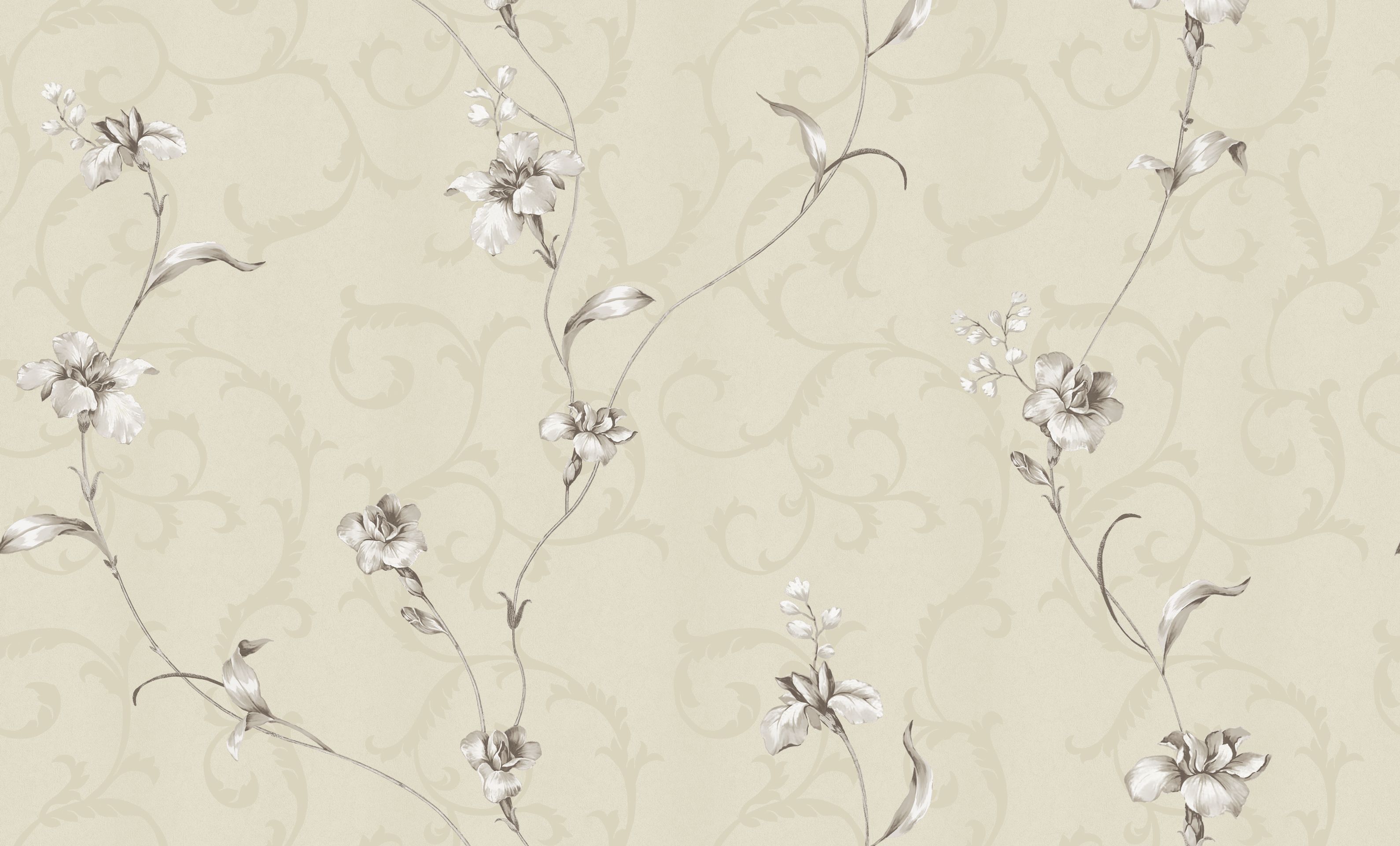 Giấy dán tường montana 6 Giấy dán tường montana 6
