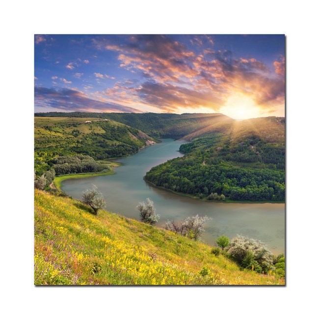 Tranh treo tường một bức Tranh treo tường một bức