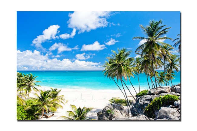 Tranh treo tường 1 tấm Tranh treo tường 1 tấm