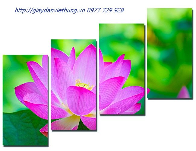 tranh treo tuong Tranh treo tuong