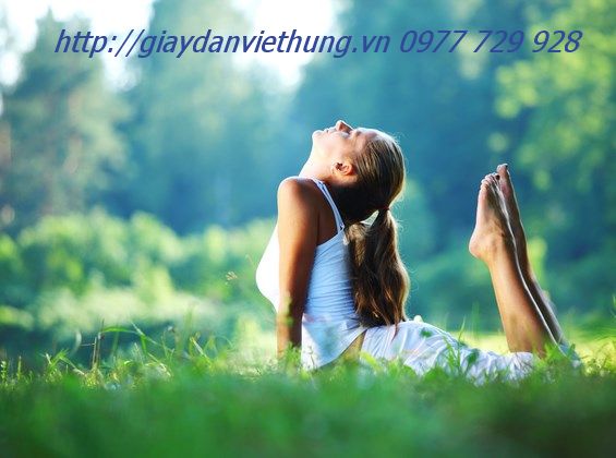 tranh dan tuong 02 tranh dan tuong 02