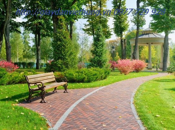 tranh dan tuong cog vien tranh dan tuong cog vien