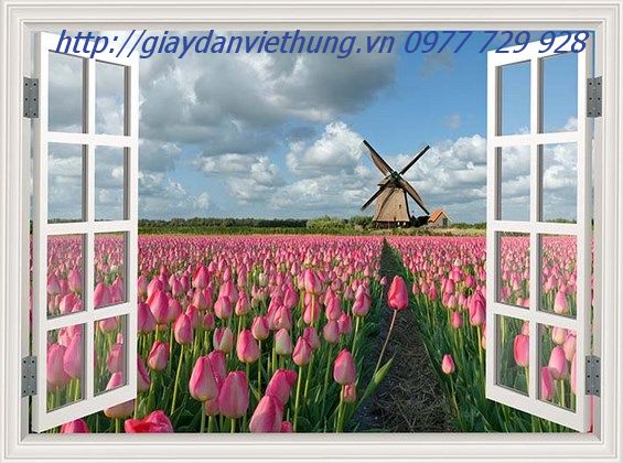 Tranh dán tường đẹp nhất Tranh dán tường qua đẹp