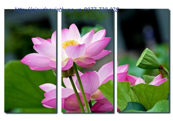 Tranh treo tường giá rẻ Tranh treo tường giá rẻ