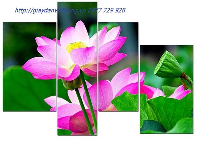 Tranh treo tường 2 Tranh treo tường 2