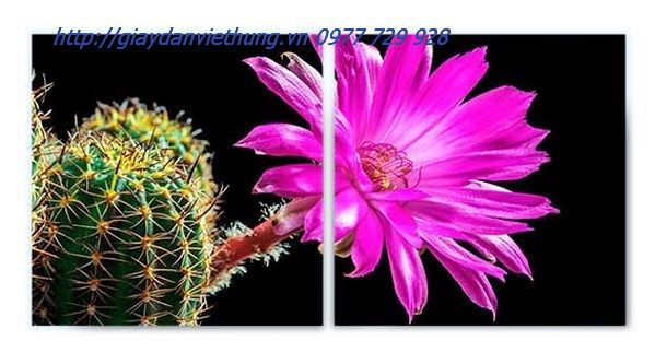 Tranh dan tuong Ha Dong Tranh dan tuong Ha Dong